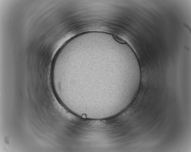 X0000102411139200808221905