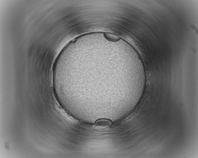 X0000102411140200808221905