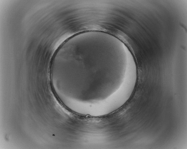 X0000102411141200808221905