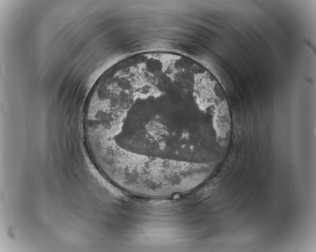 X0000102411142200808221905