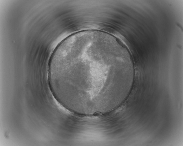 X0000102411143200808221905