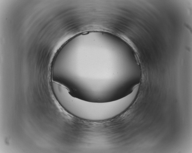 X0000102411144200808221905