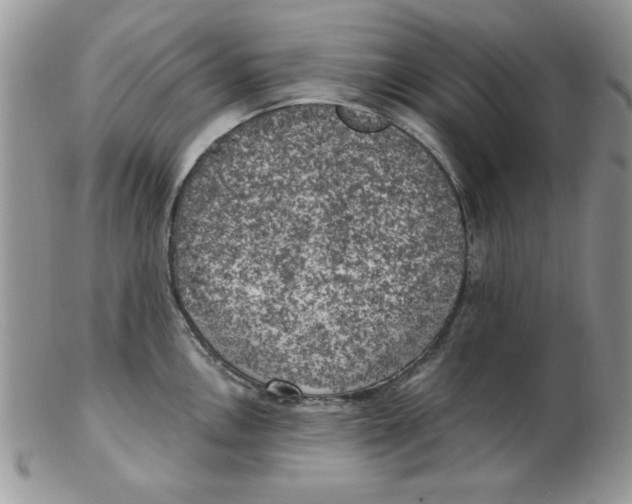 X0000102411146200808221905