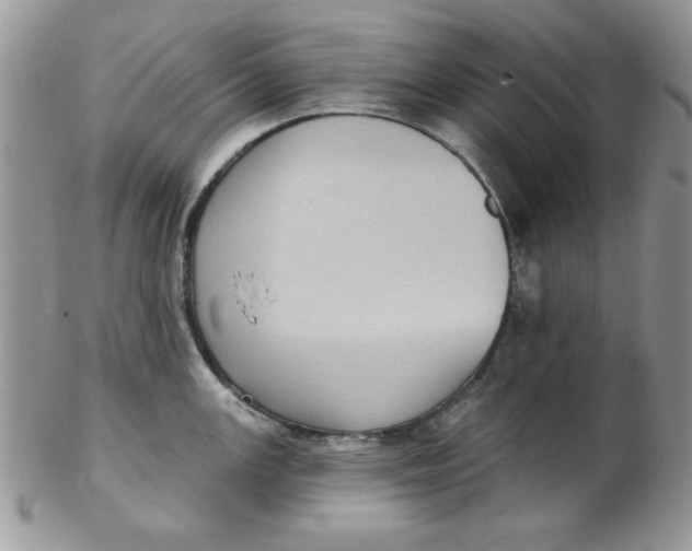 X0000102411147200808221905