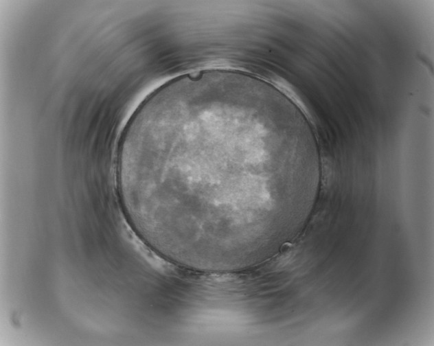 X0000102411148200808221905