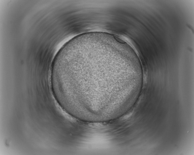 X0000102411149200808221905