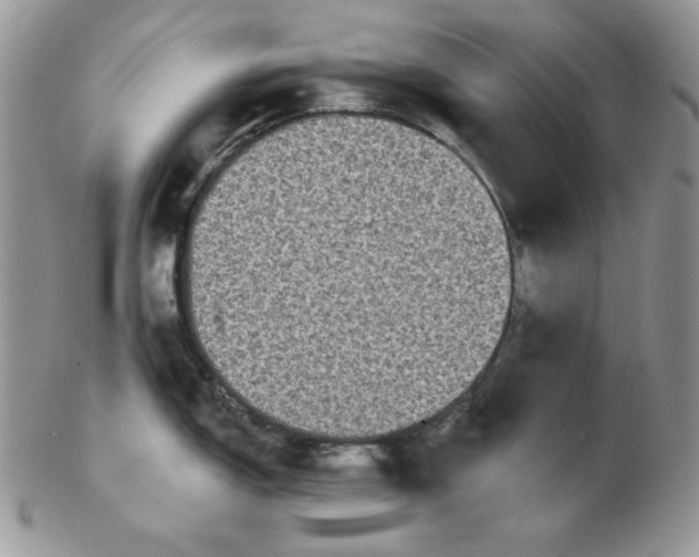 X0000102411150200808221905