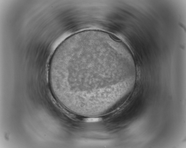 X0000102411151200808221905