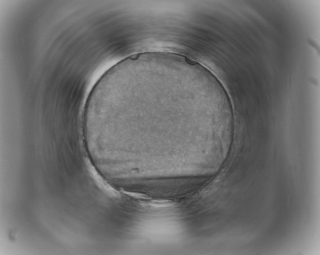 X0000102411152200808221905