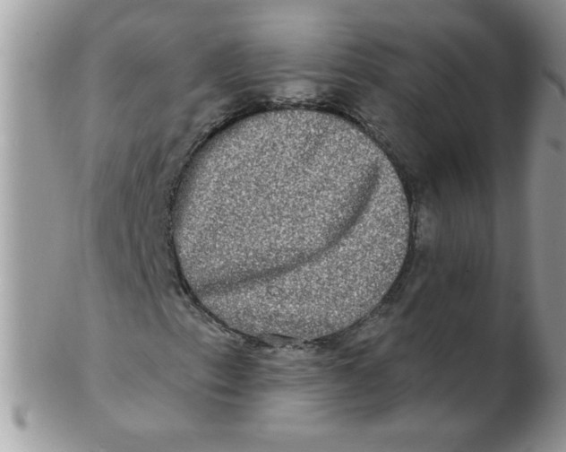 X0000102411153200808221905