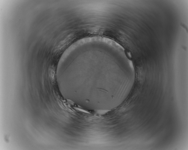 X0000102411154200808221905