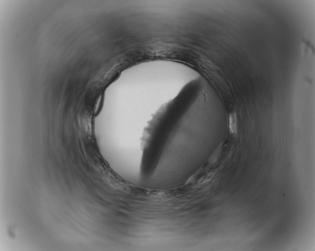 X0000102411155200808221905