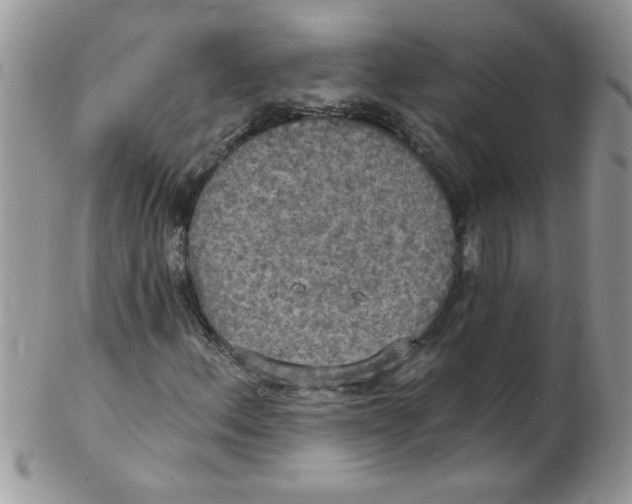 X0000102411156200808221905