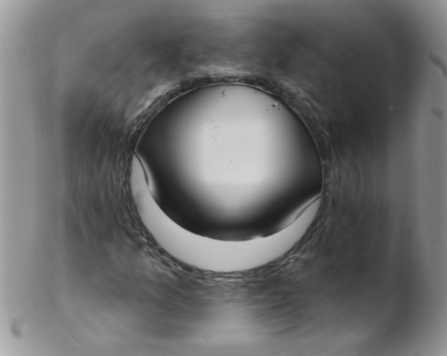 X0000102411157200808221905