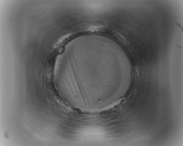 X0000102411158200808221905