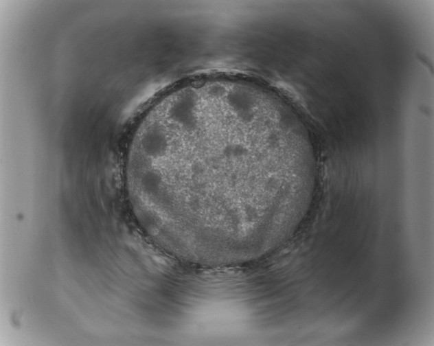 X0000102411159200808221905