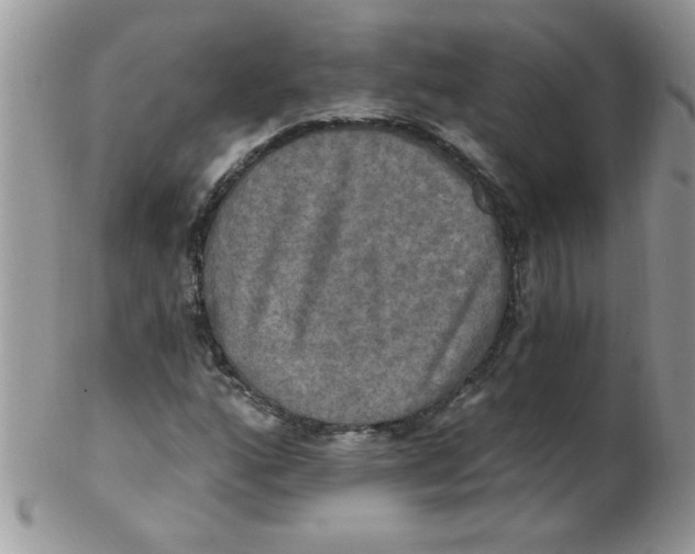 X0000102411160200808221905