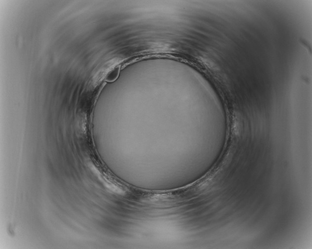 X0000102411161200808221905