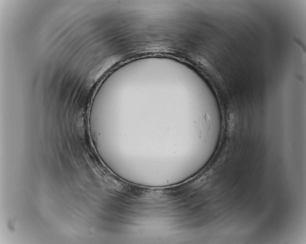 X0000102411162200808221905