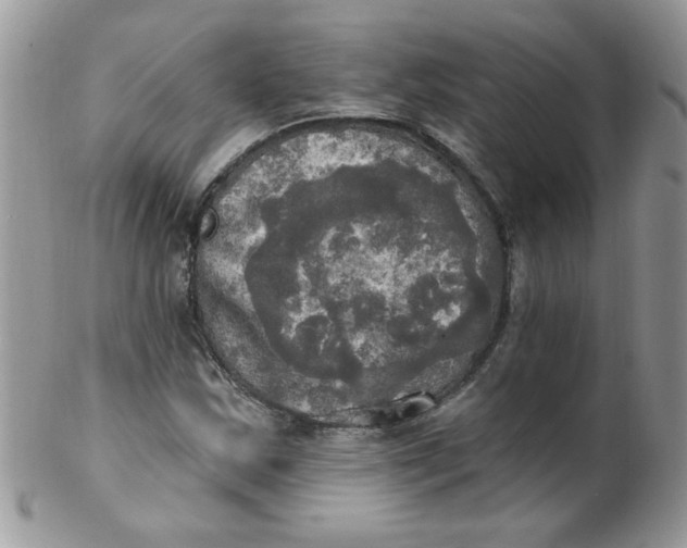 X0000102411163200808221905