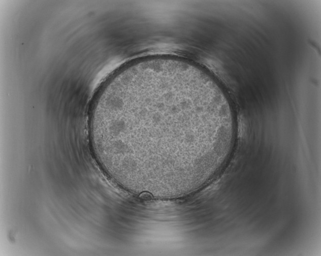 X0000102411164200808221905