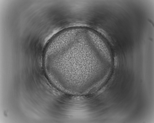 X0000102411165200808221905