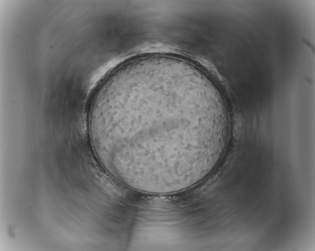 X0000102411167200808221905