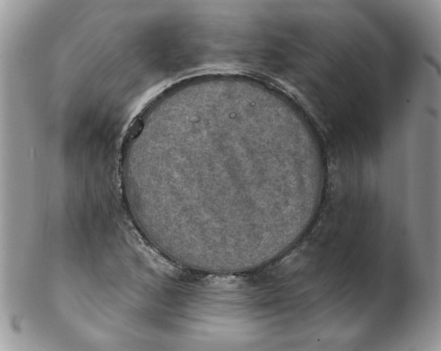 X0000102411168200808221905