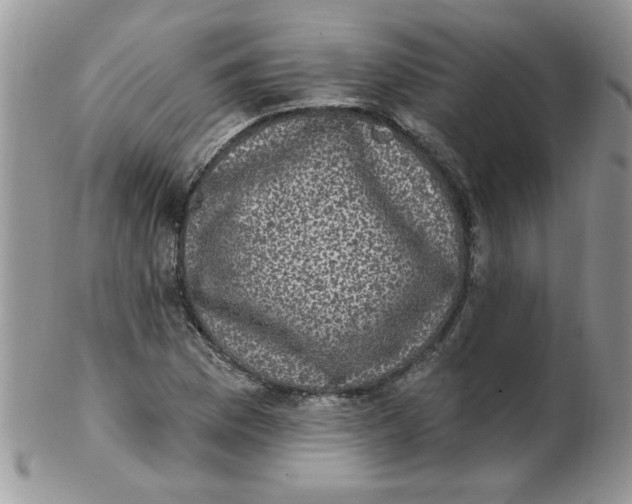 X0000102411169200808221905