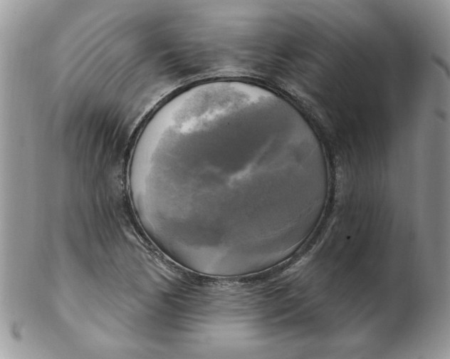 X0000102411170200808221905