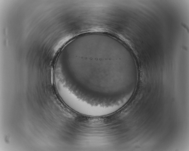 X0000102411171200808221905