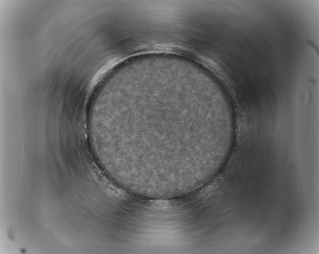 X0000102411172200808221905