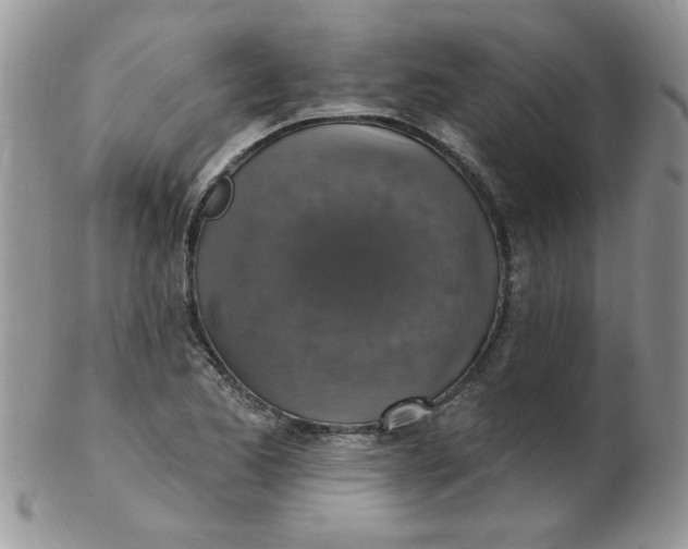 X0000102411173200808221905