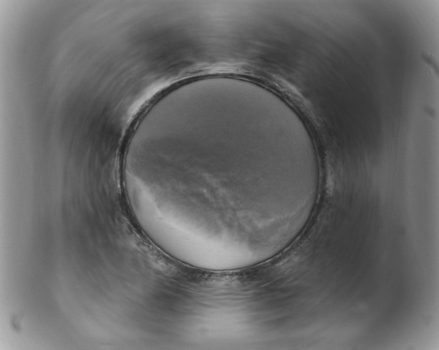 X0000102411174200808221905