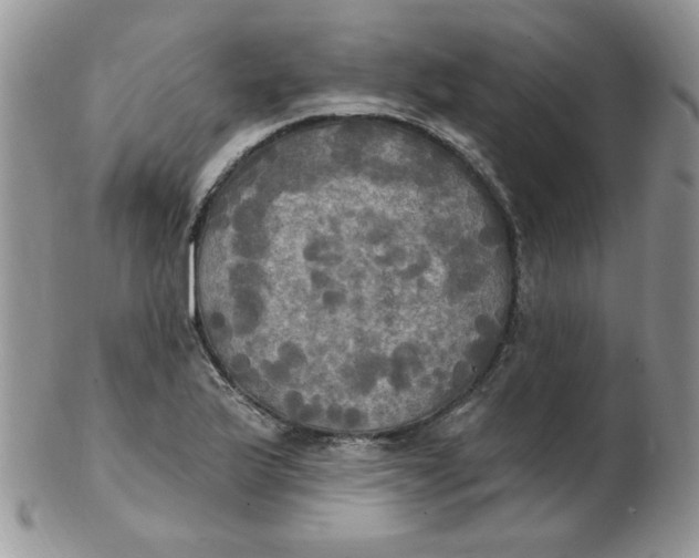 X0000102411175200808221905