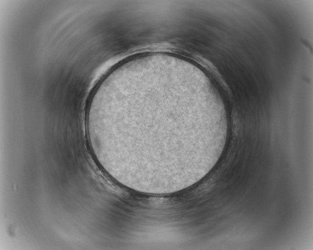 X0000102411176200808221905