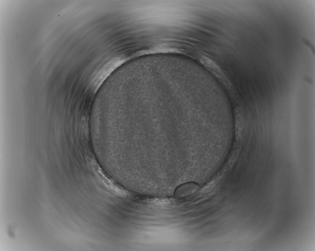 X0000102411177200808221905