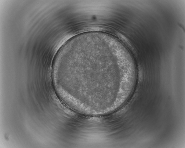 X0000102411178200808221904