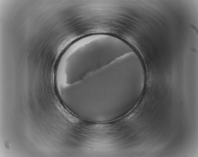 X0000102411179200808221904