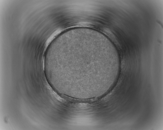 X0000102411180200808221904