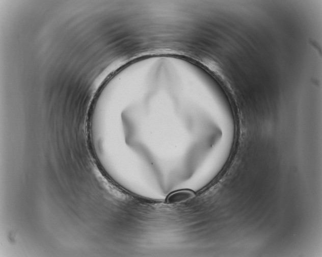 X0000102411181200808221904