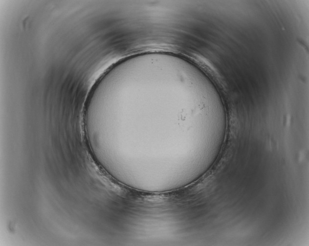 X0000102411182200808221904