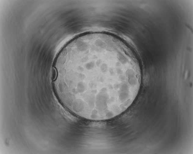 X0000102411183200808221904