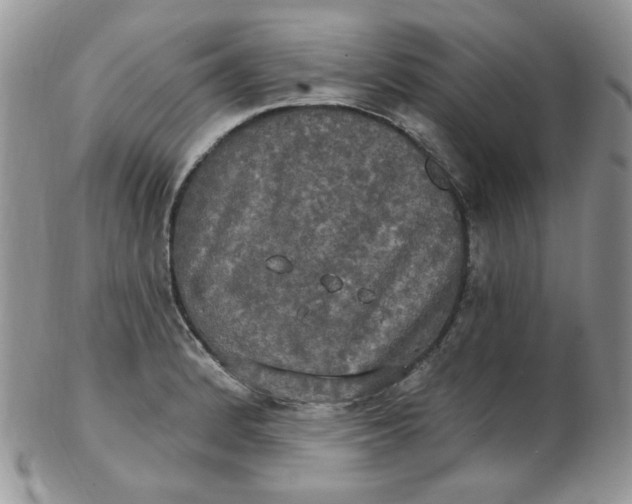 X0000102411184200808221904