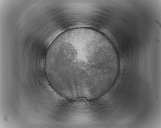 X0000102411185200808221904