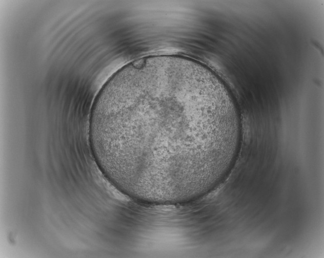 X0000102411186200808221904