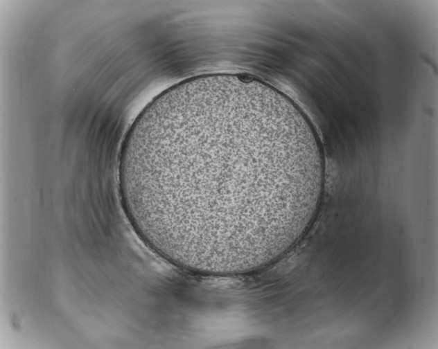 X0000102411187200808221904