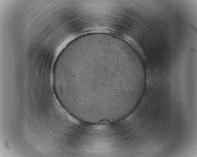 X0000102411188200808221904