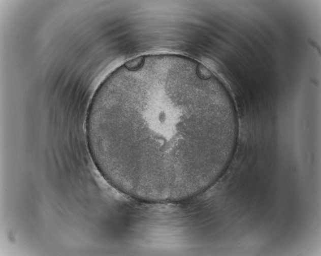 X0000102411189200808221904