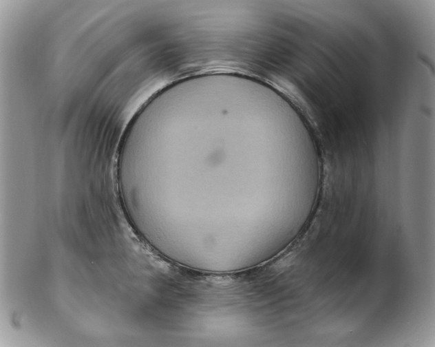 X0000102411190200808221904